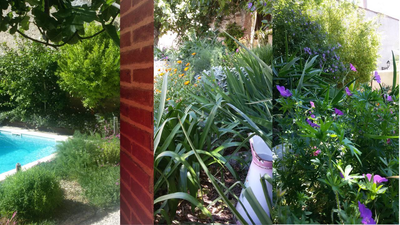 L'Ile Aux Mimosas Bed and Breakfast Tautavel Εξωτερικό φωτογραφία