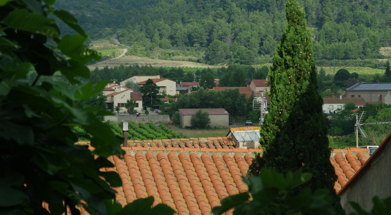 L'Ile Aux Mimosas Bed and Breakfast Tautavel Εξωτερικό φωτογραφία
