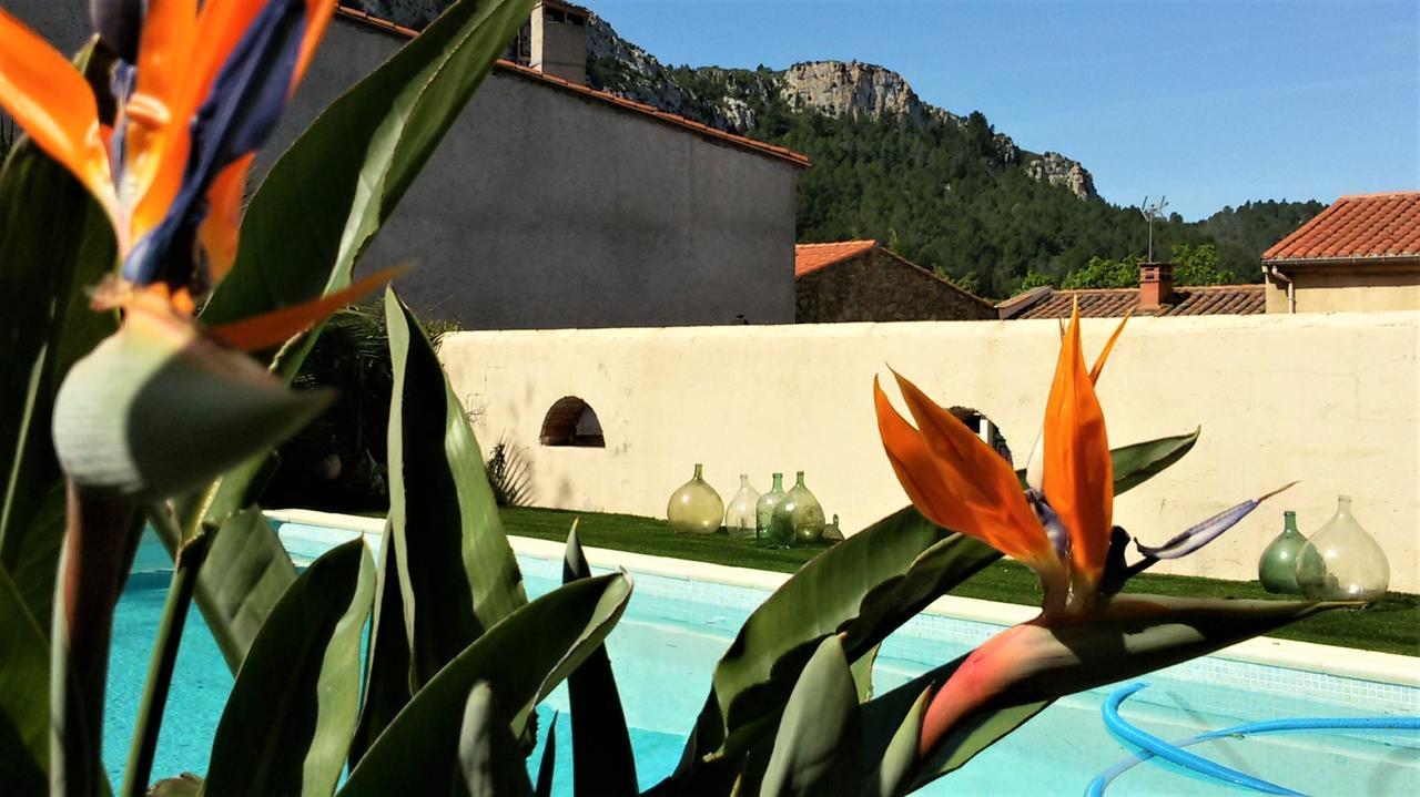 L'Ile Aux Mimosas Bed and Breakfast Tautavel Εξωτερικό φωτογραφία