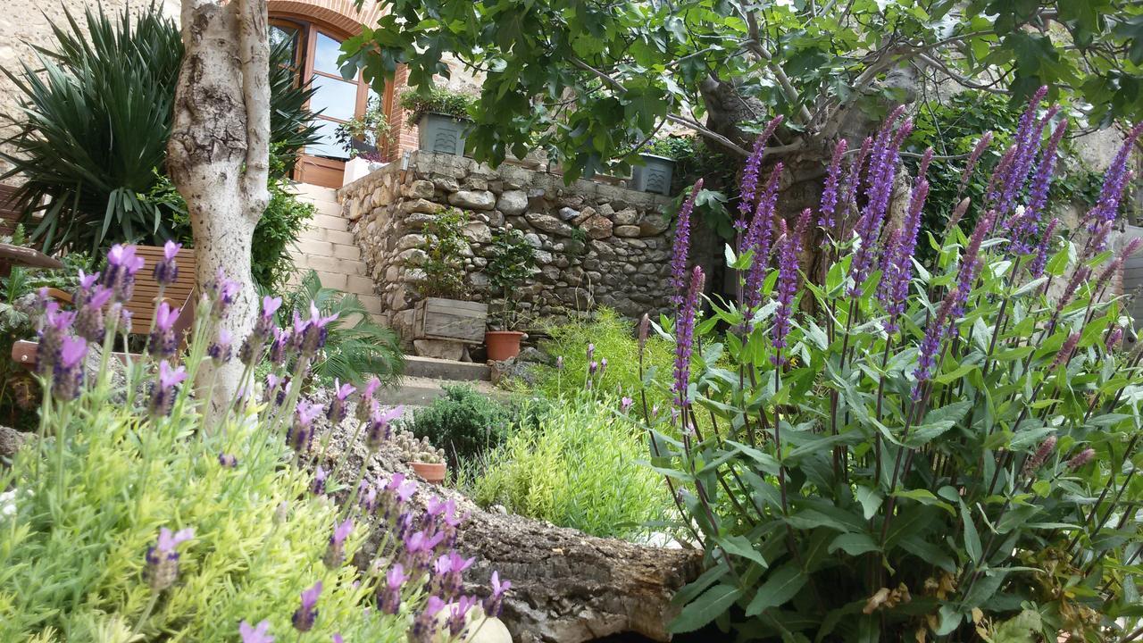 L'Ile Aux Mimosas Bed and Breakfast Tautavel Δωμάτιο φωτογραφία