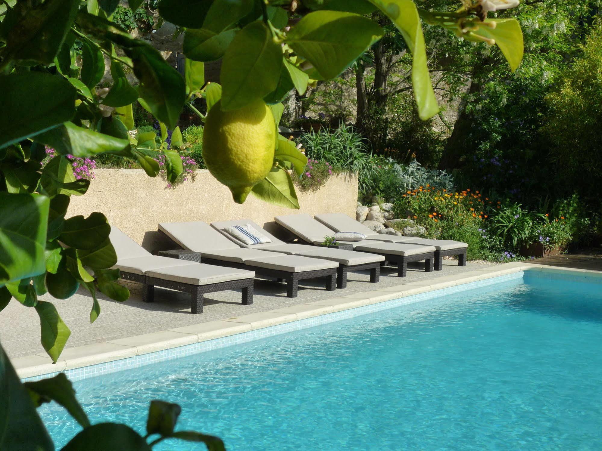 L'Ile Aux Mimosas Bed and Breakfast Tautavel Εξωτερικό φωτογραφία